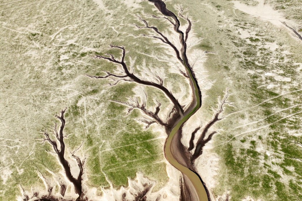 圖為中國江西省乾涸的鄱陽湖長出樹狀的鳥瞰圖。 圖／美聯社