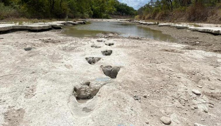 美國德州的一場乾旱使一條流經恐龍谷州立公園的河流乾涸，竟意外讓具有大約1.13億年歷史的「恐龍足跡」現蹤。Dinosaur Valley State Park