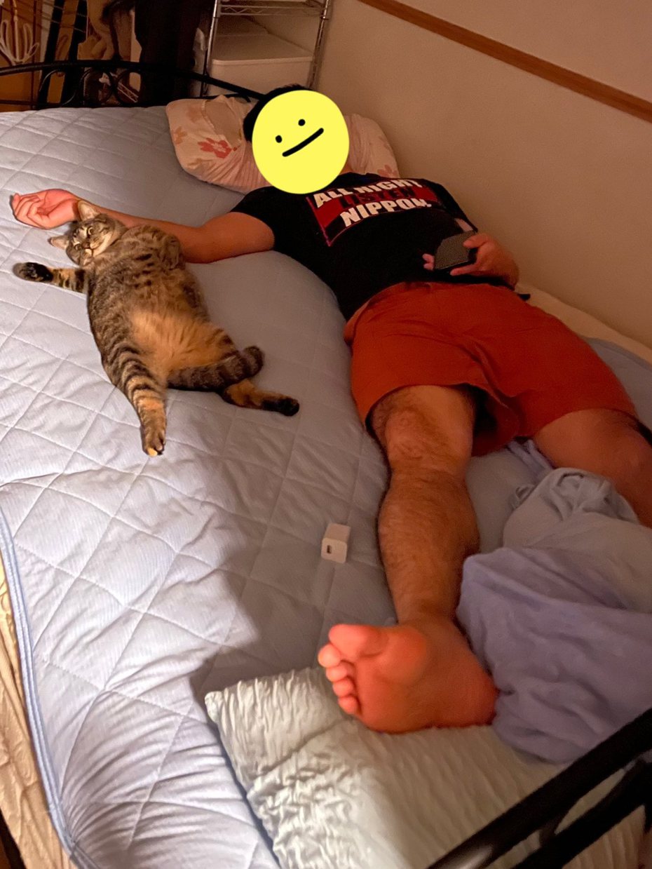 一隻虎斑貓養著養著竟然越來越像主人，和貓奴一起在床上睡覺時做出一模一樣的動作。 (圖/取自推特)