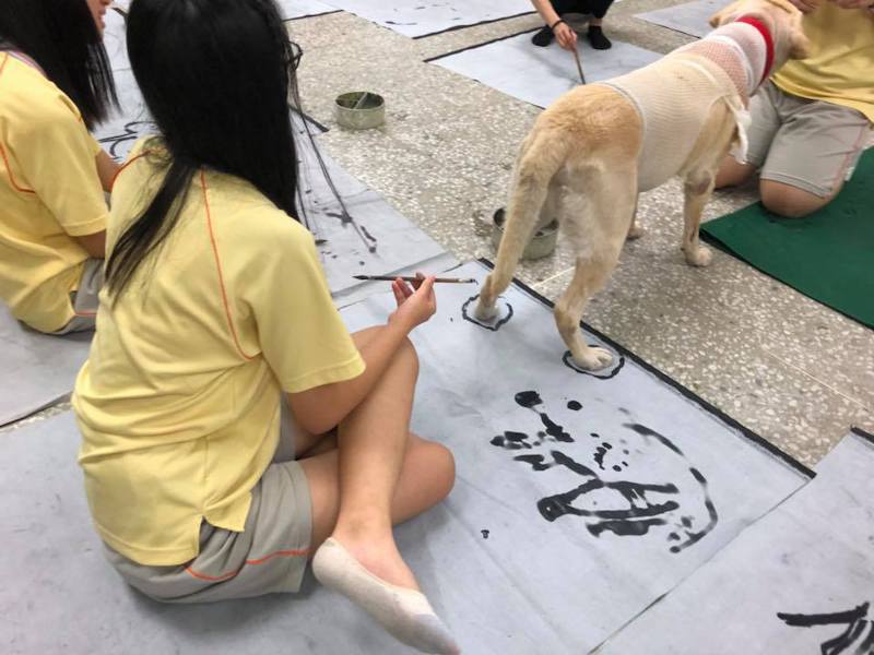 台北市大直高中透過校犬融入課程協同教學、特殊生的關懷陪伴，增進學校師生對校犬照顧的專業學能。圖／大直高中提供