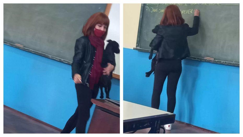 一名高中老師某天正在上英文課時，突然發現教室裡有一位「過來旁聽」的汪星人，於是牠就抱起小狗講了一整堂的課。 (圖/取自The Dodo)