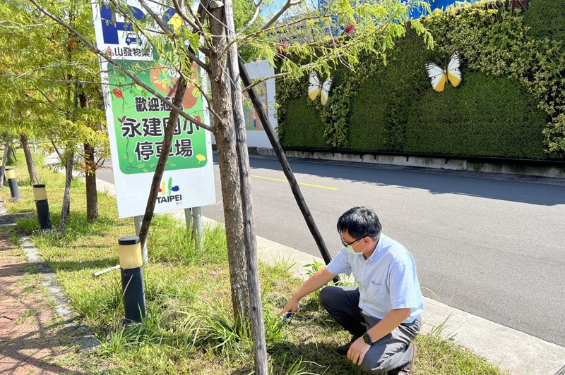 台灣都市林健康美化協會秘書長、樹藝師謝翁維考到證照已9年，也曾任多縣市的樹保委員，主要負責診斷鑑定及顧問服務，及樹木維養護。圖／謝翁維提供