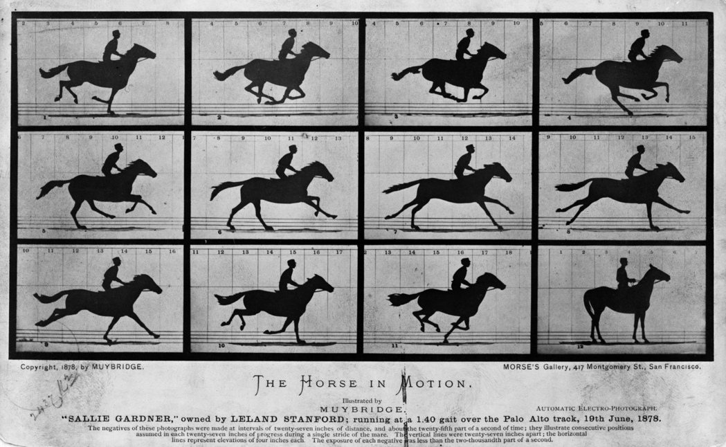 英國攝影師Eadweard Muybridgen所拍攝的The Horse in Motion。 圖／維基共享