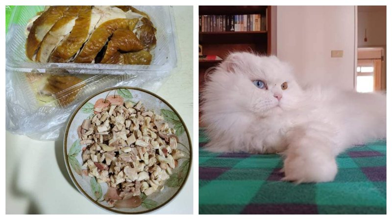 一名女網友在臉書社團爆怨公社發文表示，自家老爸給貓咪準備的食物都比給自己的還要好，經常給貓咪吃滿盤烤鴨跟蝦子等。 (圖/取自臉書社團「爆怨公社」)