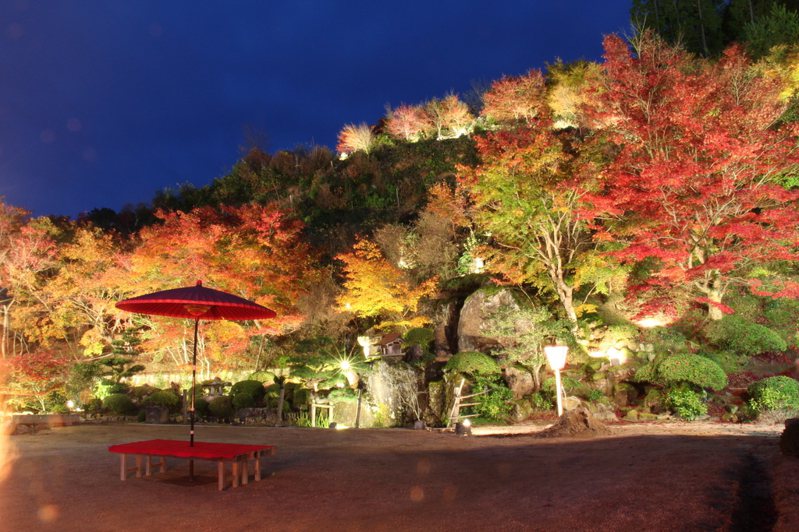 位於京都府與謝郡與謝野町的慈德院，每到秋天院內就會被紅葉團團圍住，因此有了「丹後紅葉寺」之稱。遊日本合同会社提供
