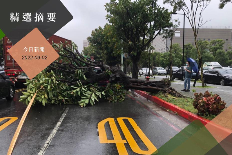 颱風軒嵐諾來襲，強勁陣風導致桃園龜山區一路樹倒塌。記者陳俊智／翻攝