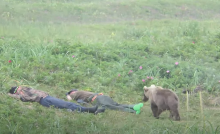 兩男睡午覺，一隻棕熊靠近。圖取自YouTube