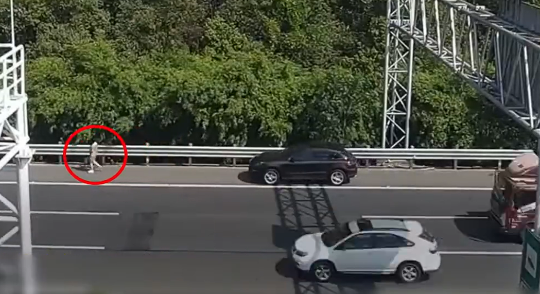 一名男子某天在高速公路上開車，發現自家狗寶貝疑似中暑，竟直接停在路肩然後由女主人帶狗狗下車散步，男子就這樣開著車尾隨在後，被眾多網友罵翻。 (圖/取自影片)