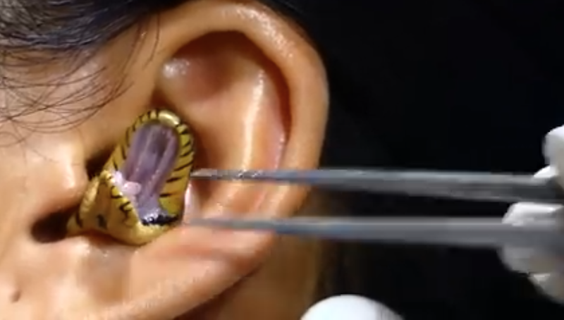 最近一段影片在網路上瘋傳，一名女子的耳朵裡竟鑽進一條黃底黑蚊蛇，蛇頭從女子耳朵中鑽出，還吐出蛇信看起來相當嚇人。 (圖/取自影片)