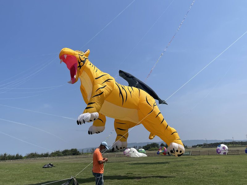 新竹國際風箏節將於周末登場，今天試飛老虎等造型風箏。記者張裕珍／攝影