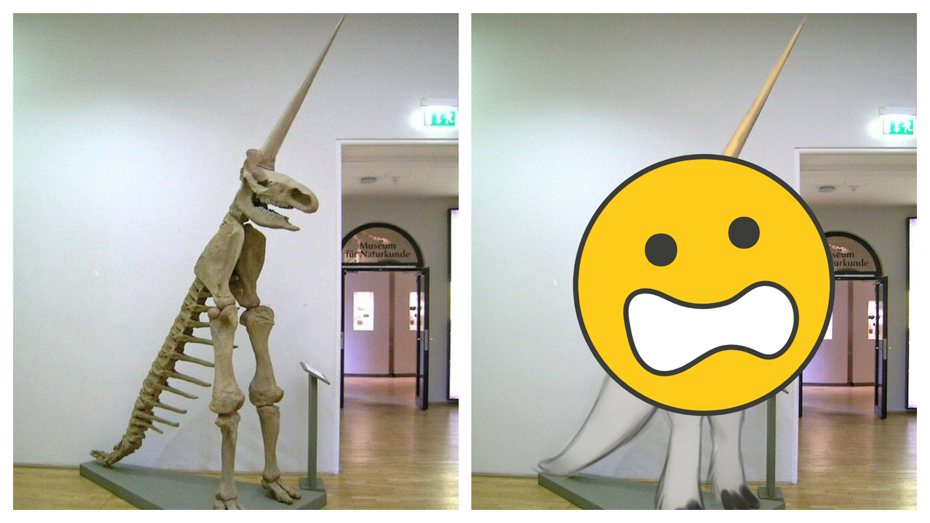 最近一張照片在網路上瘋傳，有網友表示在博物館裡面看到了獨角獸化石，強調這不是P圖，但照片中獨角獸化石的身體比例相當怪異。 (圖/取自推特)