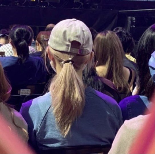 有粉絲分享在田馥甄演唱會上拍到子瑜現身觀眾席。圖／摘自推特