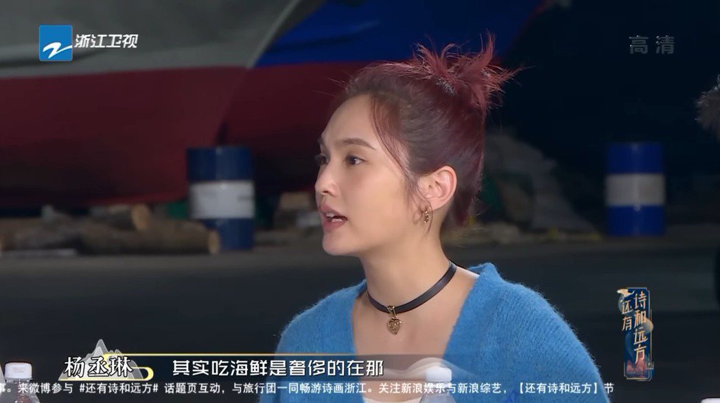 楊丞琳在浙江衛視的「還有詩和遠方3」一番言論引發爭議。 圖／擷自Youtube