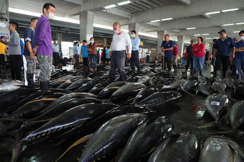 東港生鮮魚市場裡，滿地的魚貨是豐收的心情。