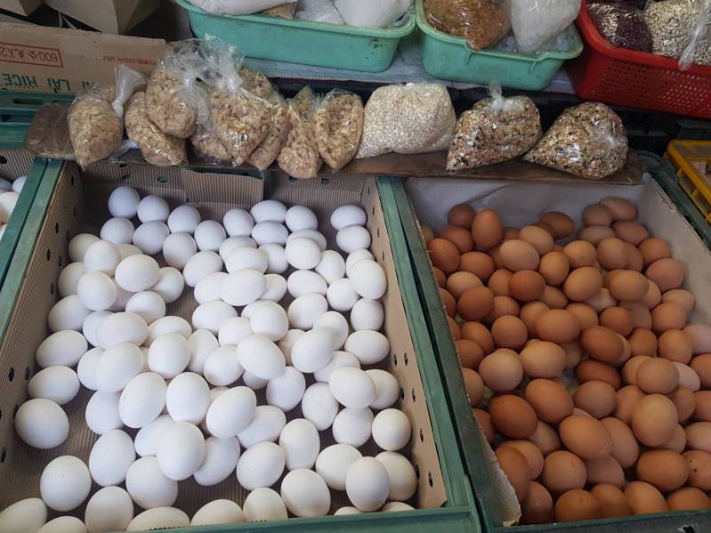 農委會說，中秋節過後天氣稍涼，蛋雞產蛋率會增加，有助雞蛋產銷。本報資料照片