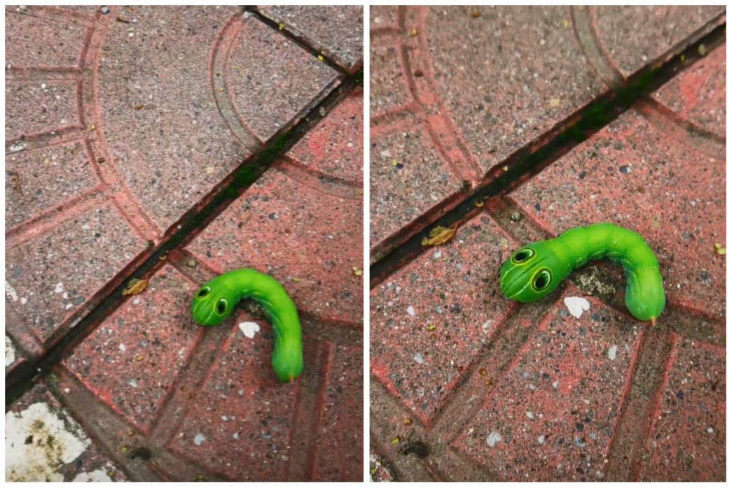 有人在地上看到一個疑似蟲蟲造型的玩具，但其實是活蟲。圖取自微博
