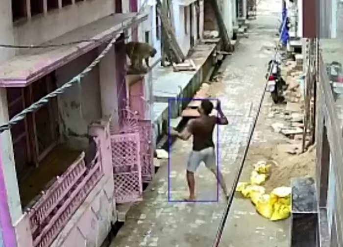 路旁的監視器拍下「人類大戰猴子」的戲碼，激動的男子撿起石頭打算砸向猴子。圖擷自T...