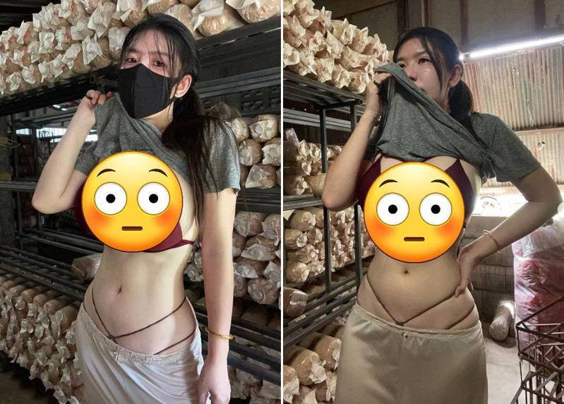 泰國女菇農在IG分享性感工作照。 圖擷自「Niparat konyai」IG