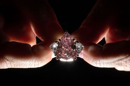 十分稀有巨大粉色鑽石「幸運粉」11月將在瑞士日內瓦拍賣，成交價可望高達3500萬美元。法新社