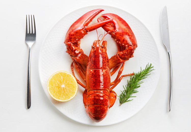 夏慕尼10月份再度祭出波士頓龍蝦免費吃優惠。圖／王品集團提供。