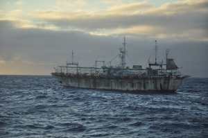 加拉巴哥群島漁民抱怨，大批中國漁船把當地資源吃乾抹淨，他們擔心已很難在本國海域生存。圖為在加拉巴哥群島附近的中國漁船。美聯社