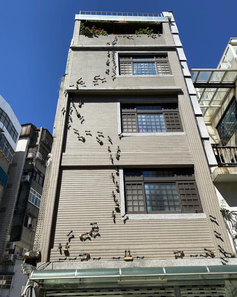 有網友走在路上驚見一棟透天厝，從二樓開始到頂樓爬滿了整牆的「巨型螞蟻」。圖擷自路上觀察學院