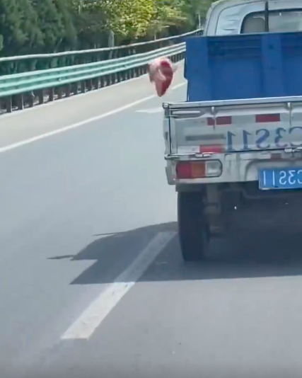 一條鯉魚從卡車上摔下高速公路的畫面令網友看傻眼。圖/翻攝自微博