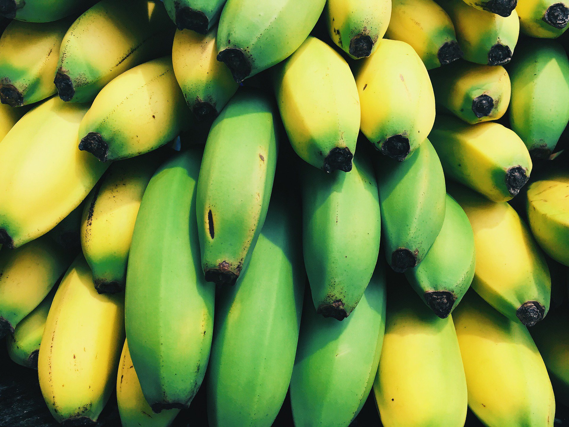 綠色香蕉含大量抗性澱粉。  圖/pixabay