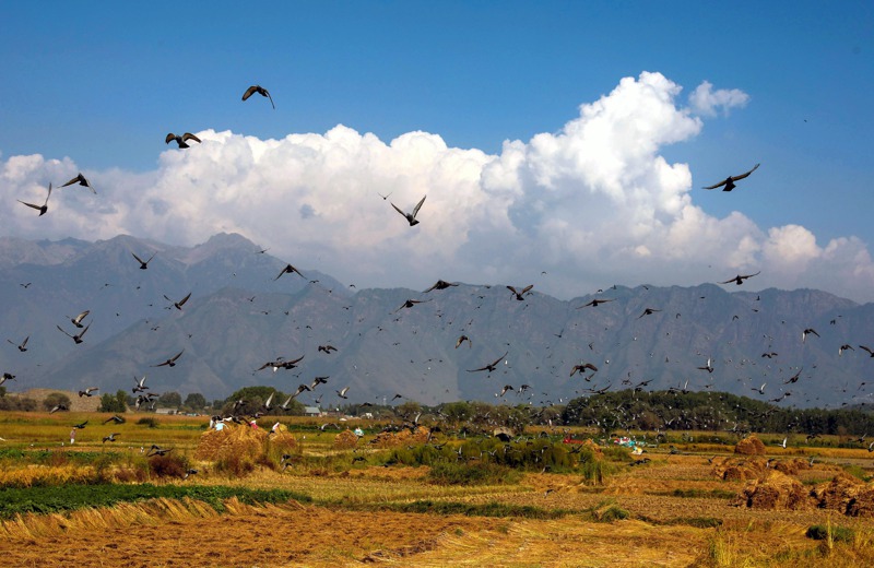 喀什米爾擁有壯闊山景。歐新社