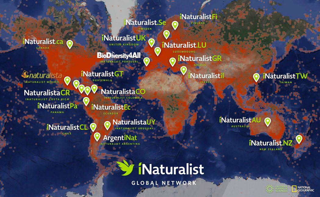 《愛自然·台灣》觀察平台今天(3日)起成為iNaturalist國際網路最新成員...
