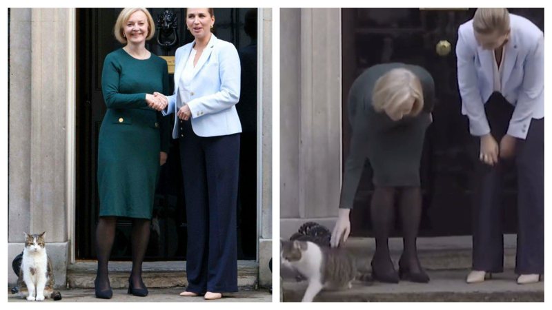 現任英國首相特拉斯在首相府接見丹麥總理，順便把英國首席捕鼠大臣貓咪賴瑞介紹給對方認識，豈料特拉斯彎下腰來摸摸賴瑞時，賴瑞臭著一張臉理都不理轉頭走掉。 (圖/取自影片)