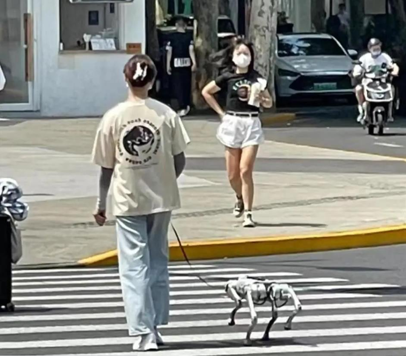 大陸近來流行「遛機械狗」，圖為上海街道上的機械狗。（極目新聞）