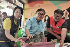 民進黨台東縣長參選人劉櫂豪（中）日前辦「貓奴活動」，透過寵物吸引年輕選票。記者卜敏正／攝影