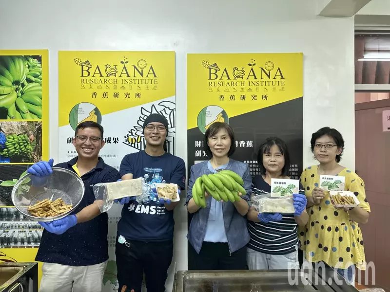 香蕉是全球第四大糧食作物，台灣香蕉研究所近期研發新品青香蕉蘿蔔糕、青香蕉炸薯條，...