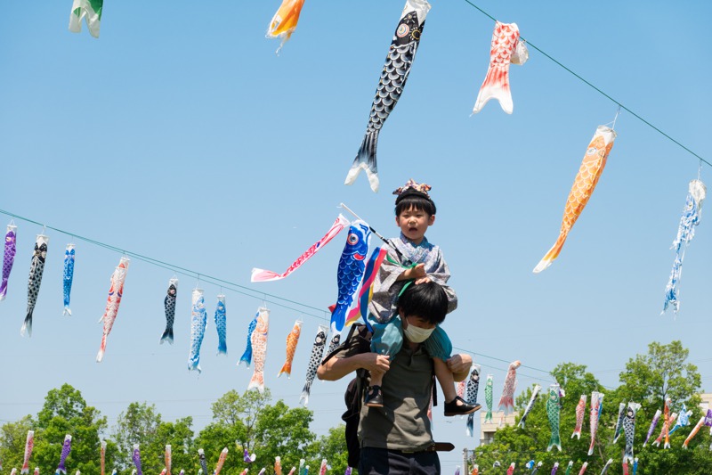 日本學者指出，人的際遇發展也與他們的性別及出生順序大有關係。圖為日本兒童節活動。新華社
