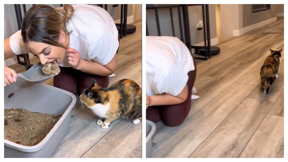 一名女子家中養了一隻貓，某天她竟然當著愛貓面前把貓砂盆內的貓屎挖起來吃掉，超狂舉動看呆旁邊的喵星人，嚇得牠當場崩潰逃竄。 （圖／取自影片）