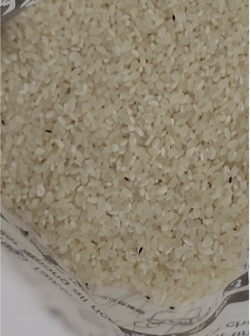 一位民眾發現好市多買的白米長出「滿滿米蟲」，網友推薦一招保存妙方包準杜絕。
圖擷自Facebook