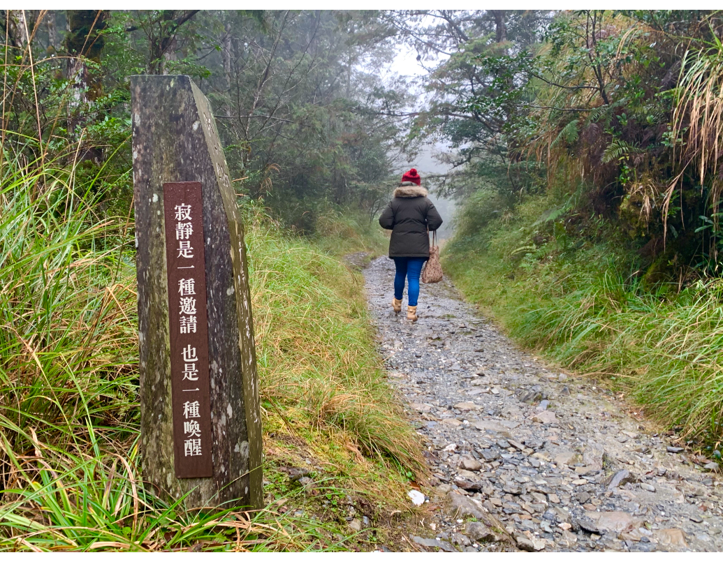 翠峰湖環山步道2.2公里至3.6公里，是台灣第一條國家級寂靜山徑。 記者林佳彣／...
