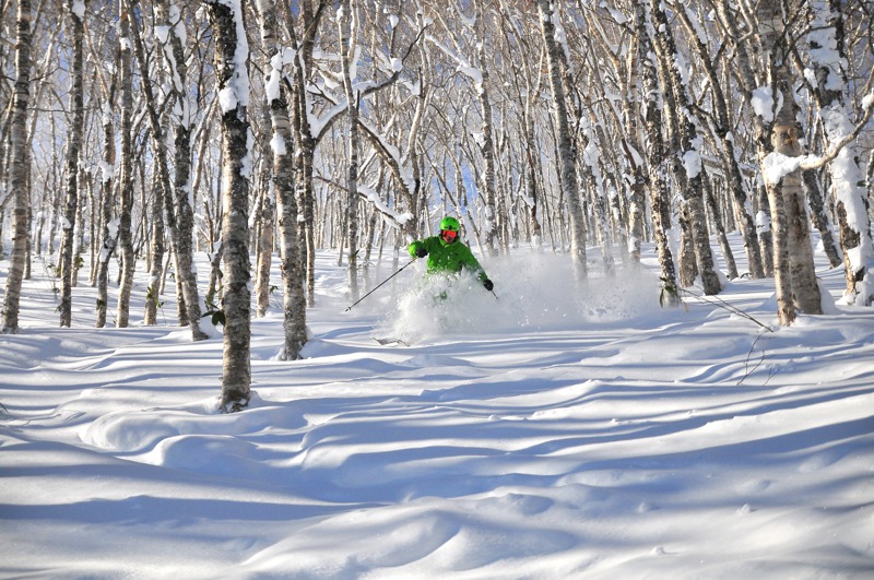 在北海道滑粉雪，是不少台灣民眾心心念念的活動。圖／星宇航空提供