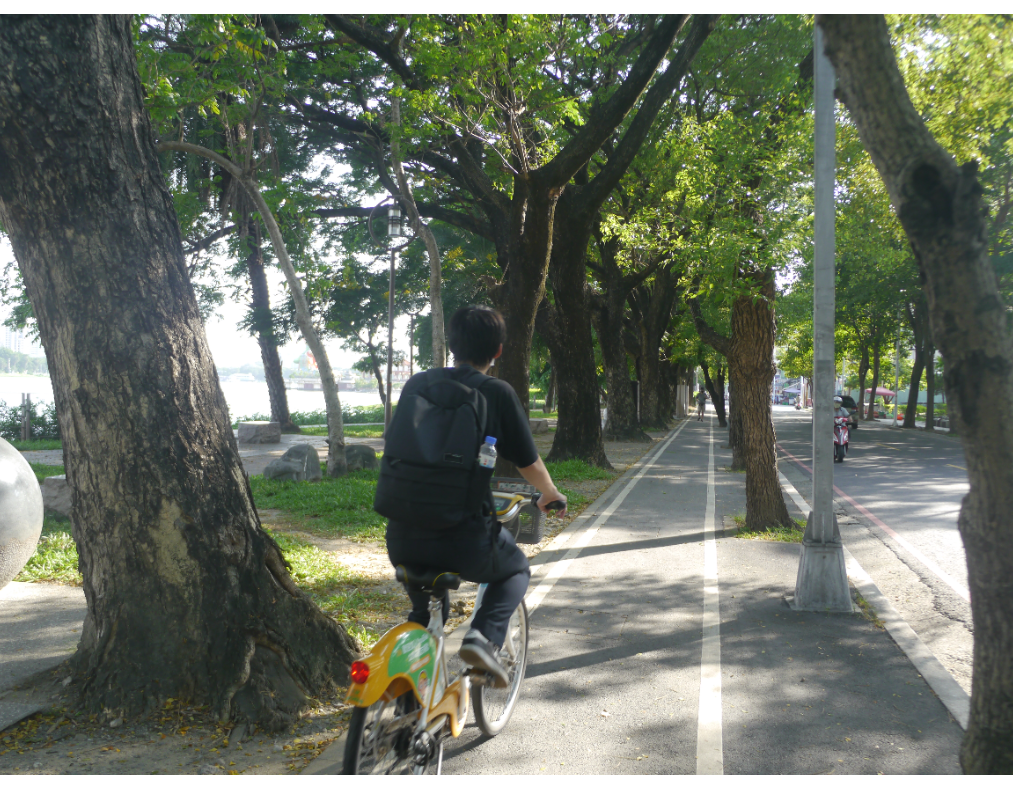 單車步道環繞蓮池潭一周，在濃密綠蔭下騎車十分愜意。 記者徐白櫻／攝影