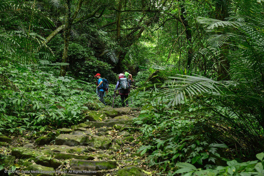 「樟之細路 Raknus Selu」是台灣最長的國家級自然步道。 圖／AXN提供