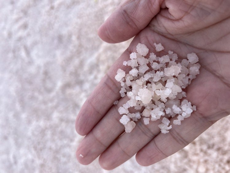 粉紅色的鹽粒鋪滿沙灘。記者羅建怡／攝影