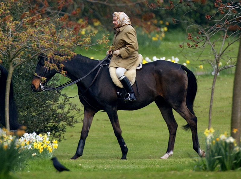 已故英国女王伊丽莎白二世爱看赛马本身也爱骑马，照片摄于2002年4月2日，温莎堡。（路透）(photo:UDN)