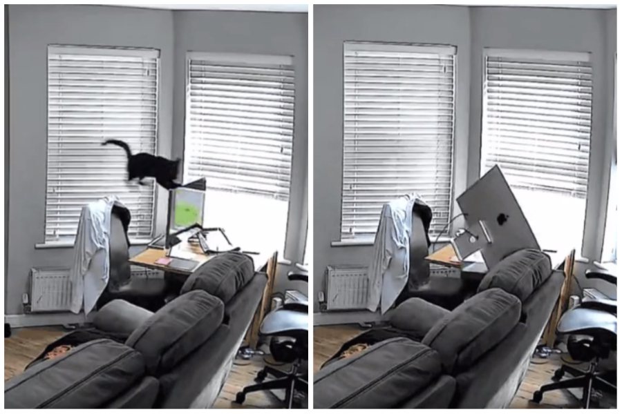一隻黑貓把主人書房辦公桌當跑酷場地，一跳讓一台桌上型Mac電腦和一台筆電雙雙重摔在地。圖取自reddit