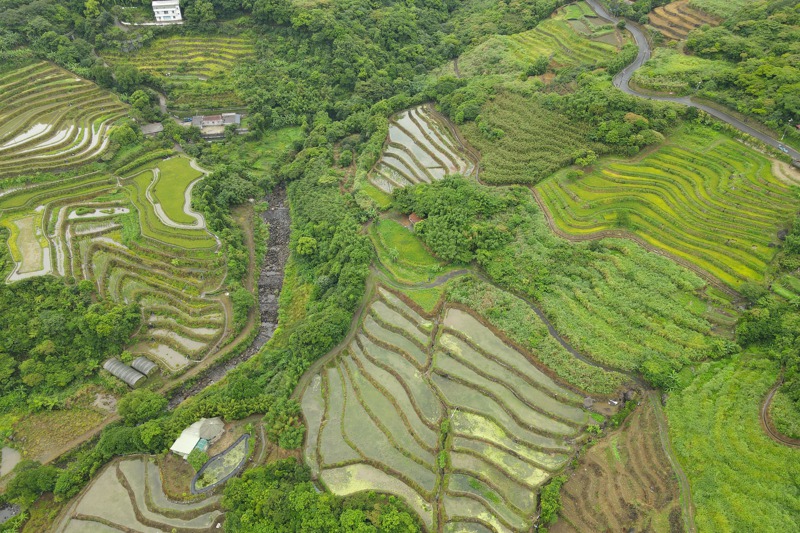 休耕許久的梯田，透過此次再生計畫，復耕約10公頃，只種植一期稻作，每年約3~8月，隨著稻米的成長，梯田呈現不同的稻田風貌。記者黃義書／攝影