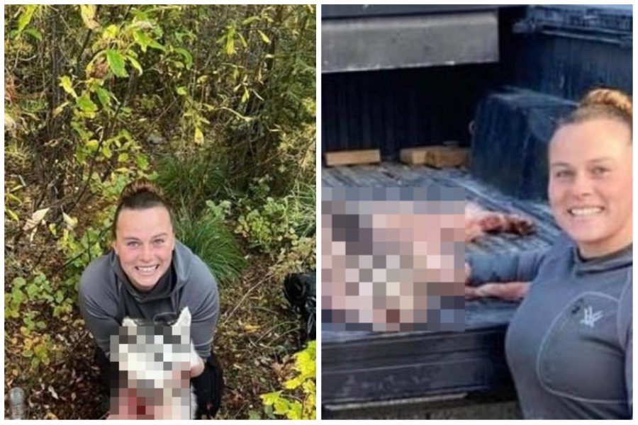 女子在臉書上張貼一系列射殺哈士奇還剝皮展示的照片，引爆網友怒轟。圖取自臉書