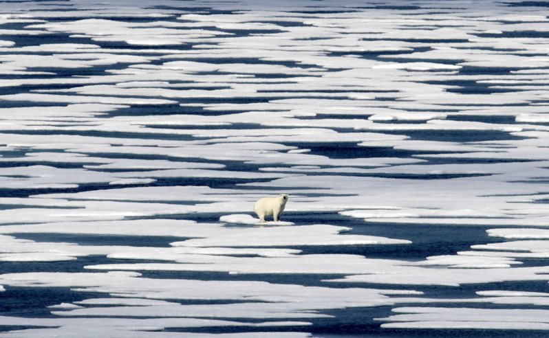 北極圈的海冰因地球升溫逐漸融化。 美聯社