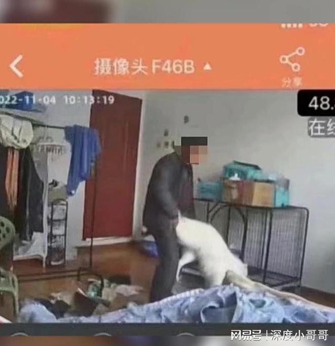 一名男房東趁女租客不在家時，偷偷潛入其租屋處性侵寵物狗，過程全被監視器拍下。 圖／翻攝自《網易新聞》