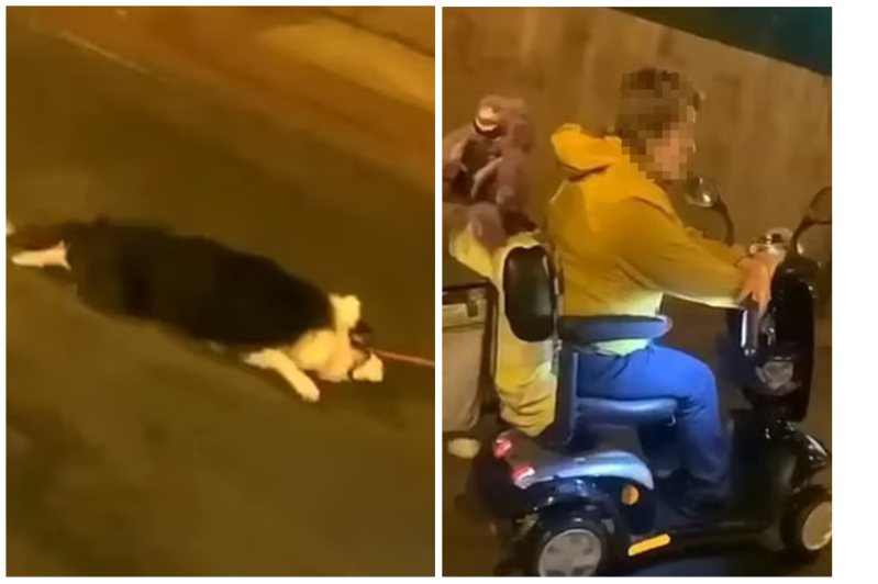 老婦人在路上騎電動摩托車，後面拖著她養的狗。圖取自YouTube