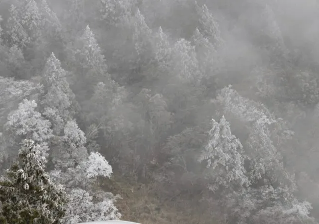 宜蘭太平山賞雪 圖片來源／Flickr